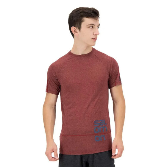 SALOMON Cross Run Graphic short sleeve T-shirt