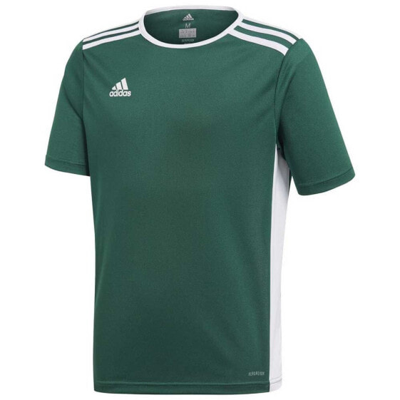 ADIDAS Entrada 18 short sleeve T-shirt