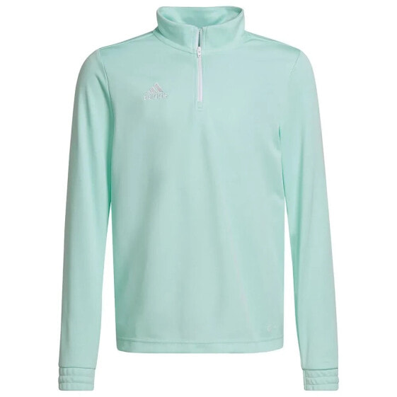 ADIDAS Entrada 22 Training sweatshirt