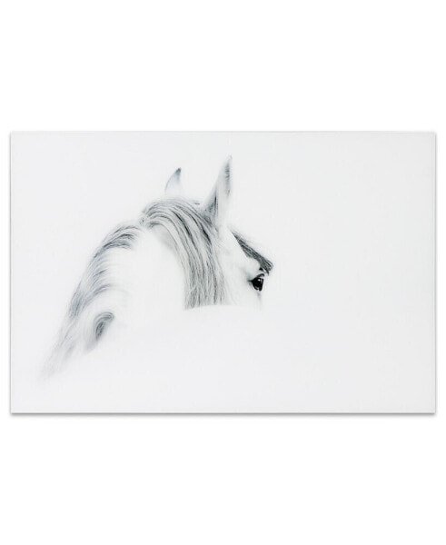'Blanco Mare Horse' Frameless Free Floating Tempered Glass Panel Graphic Wall Art - 48" x 32''
