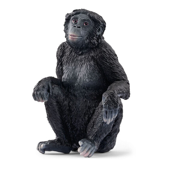 Фигурка Schleich Bonobo женщина из дикой природы