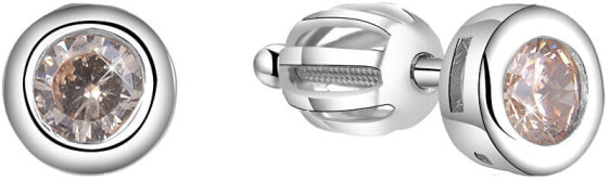 Silver earrings AGUP1564S
