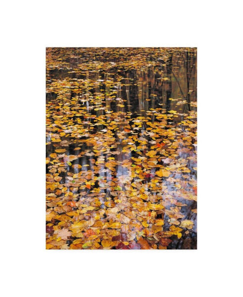 John Gavrili Autumn Detail Canvas Art - 27" x 33.5"