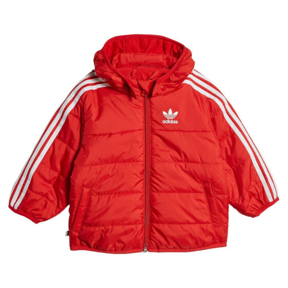 ADIDAS ORIGINALS Adicolor HK7452 jacket