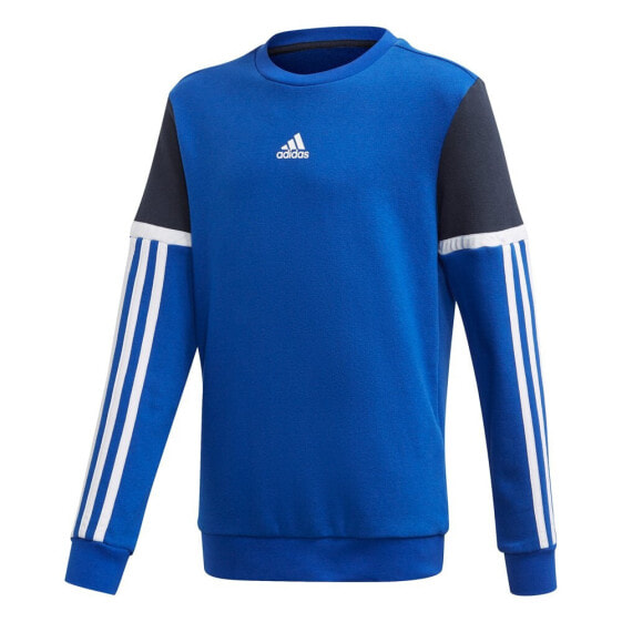 ADIDAS Bold Crew sweatshirt