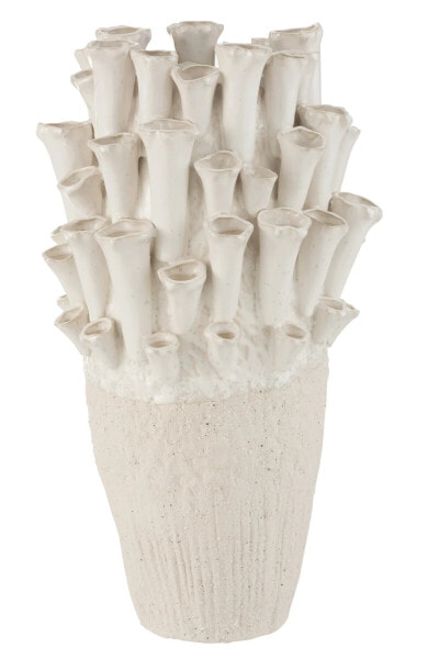 Vase Anemone