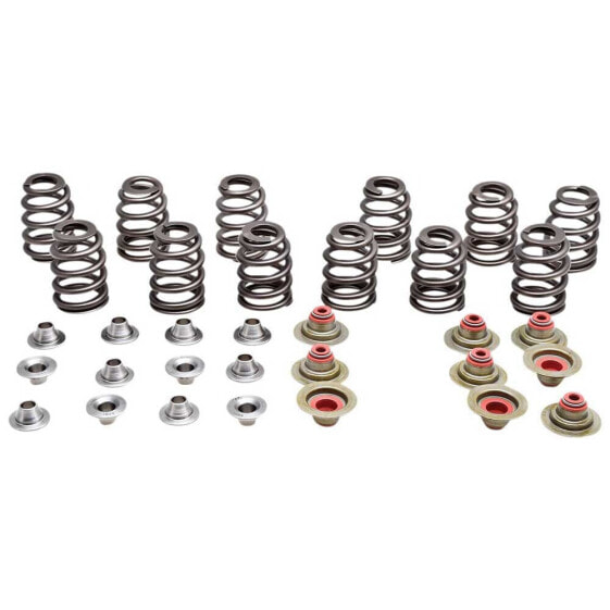 KIBBLEWHITE Maverick 17-20 91-91300 Valve Springs&Washers