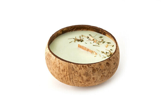 Candle in coconut - scent of lemon grass & ginger