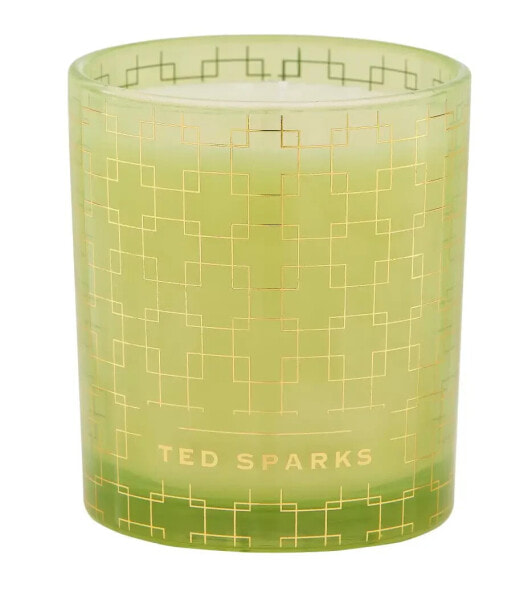 Ted Sparks - Duftkerze Demi -