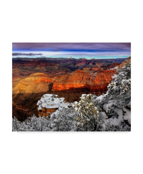 David Drost Snowy Grand Canyon IV Canvas Art - 20" x 25"