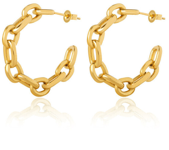 Fashion gold plated earrings circles