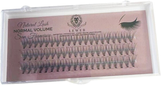 Lewer Natural Lash Normal Volume San Francisco