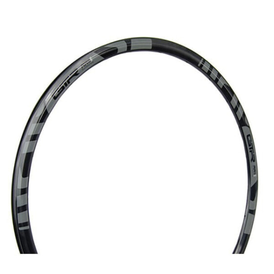 GTR RR Disc Rim