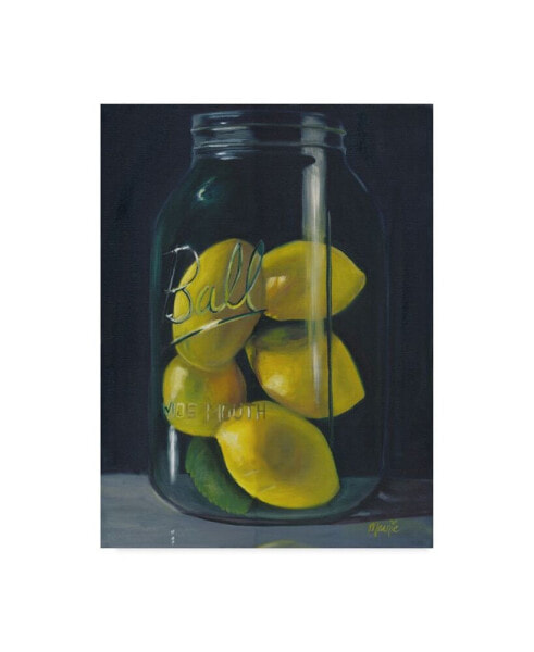 Marnie Bourque 'Lemons' Canvas Art - 19" x 14" x 2"