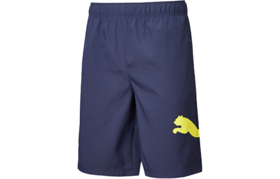 Шорты мужские PUMA Tec Sports Trendy Clothing Casual Shorts 844179-06
