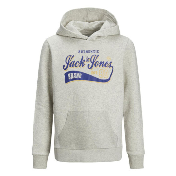 JACK & JONES Logo hoodie