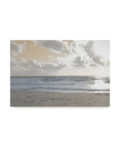 Sharon Chandler Serene Sea 3 Canvas Art - 37" x 49"