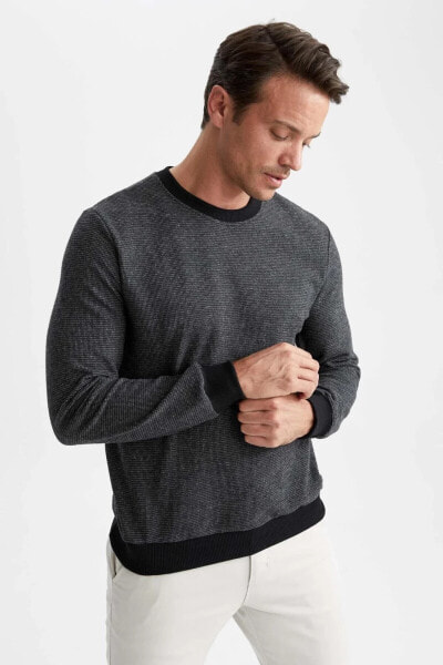 Regular Fit Sweatshirt Z8763az22au