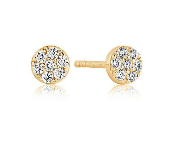 Tiny gold-plated stud earrings with cubic zirconia Cecina SJ-E2773-CZ(YG)