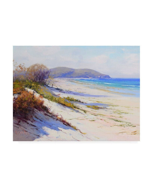 Graham Gercke Port Stephans Beach Sands Canvas Art - 27" x 33.5"