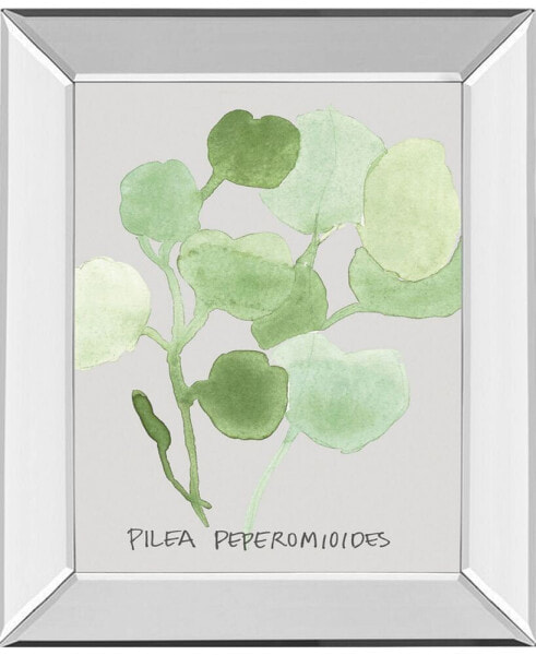 Pilea Peperomioides by Katrien Soeffers Mirror Framed Print Wall Art, 22" x 26"