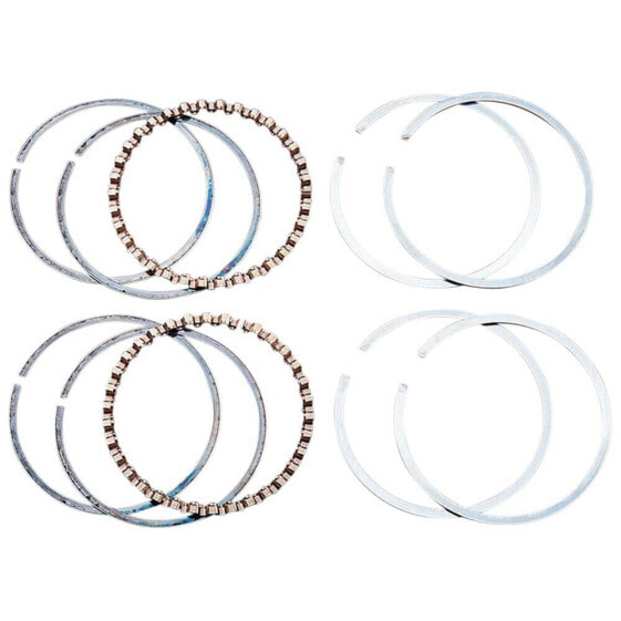 HASTINGS 4T WG1153856|6482060 Piston Rings