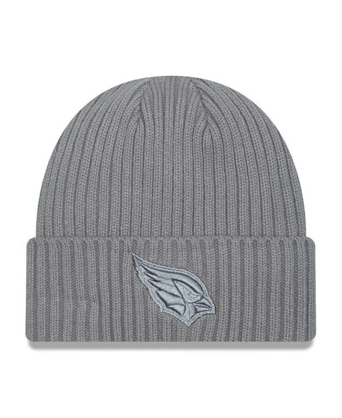 Men's Gray Arizona Cardinals Color Pack Cuffed Knit Hat