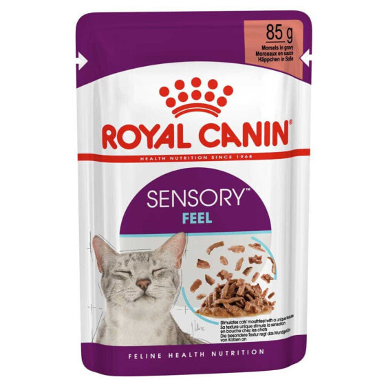 ROYAL CANIN Sensory Feel Gravy 85g Wet Cat Food 12 Units