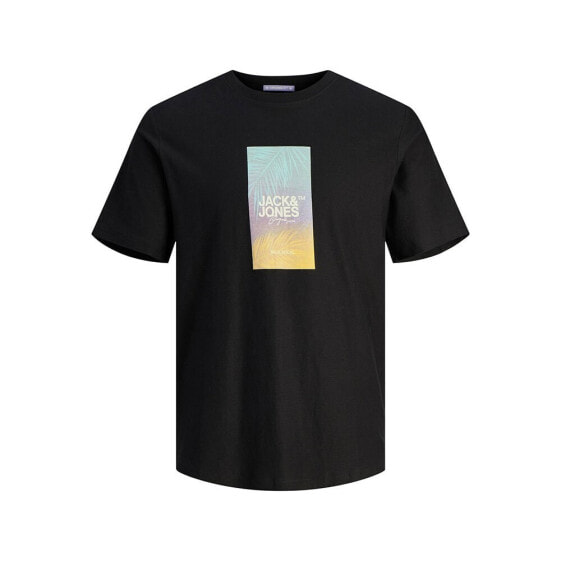 JACK & JONES Aruba Sunset Branding Plus Size short sleeve T-shirt