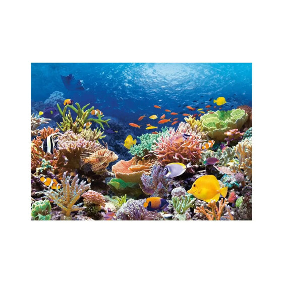 Пазл морской пейзаж от Castorland "Коралловые рыбы" 1000 элементов