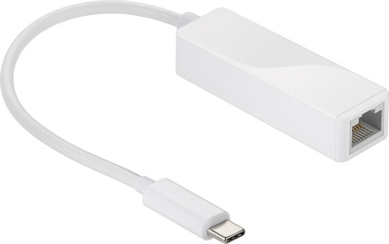 Wentronic Goobay 66255 USB-C RJ-45 White cable interface/gender adapter