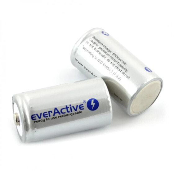 EverActive Silver Line battery R20/D Ni-MH 5500mAh - 2pcs