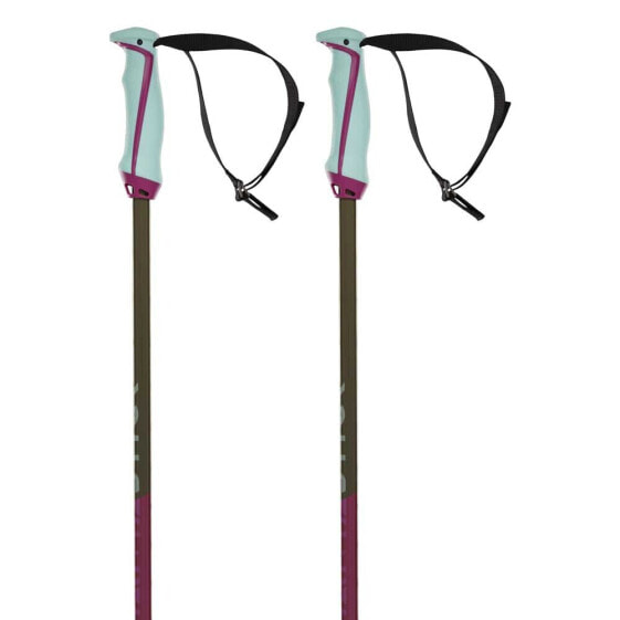 VOLKL Phantastick poles