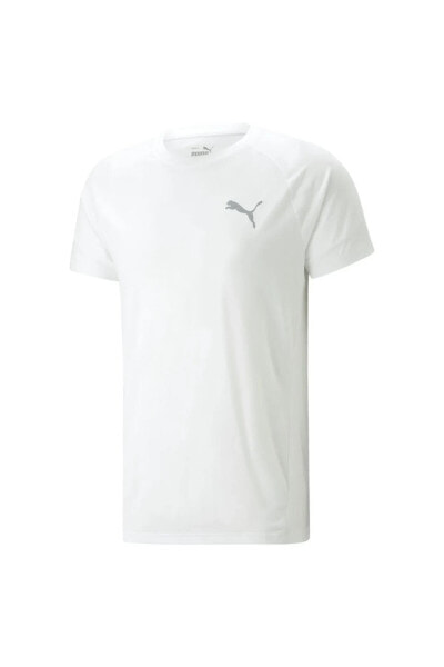 Evostripe Tee Erkek T-shirt