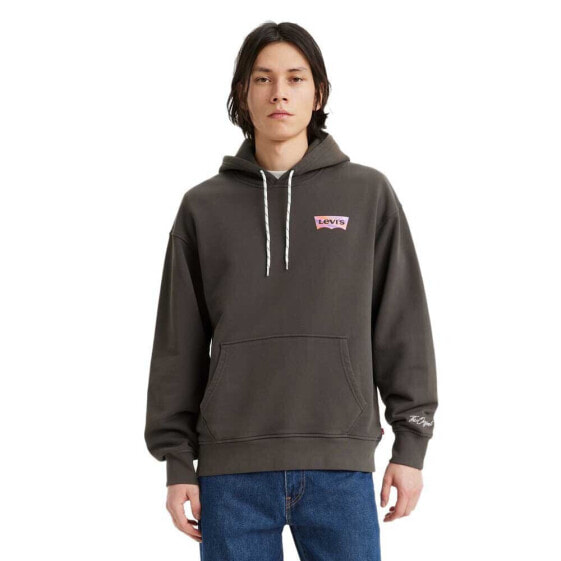 Levi´s ® T2 Relaxed Graphic hoodie