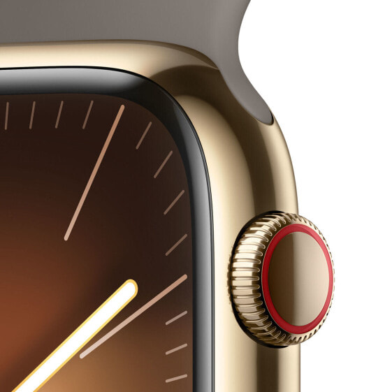 Умные часы Apple Watch Series 9 Коричневый Позолоченный 45 mm