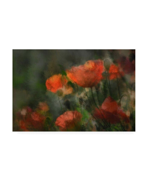 Gilbert Claes Pops Floral Romance Canvas Art - 20" x 25"