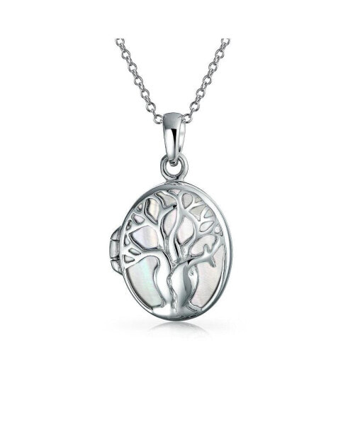 Matriarch Rainbow Abalone Mother Of Pearl Oval Celtic Tree Family Tree Of Life Locket Holds Photos Necklace For Women .925 Sterling Silver