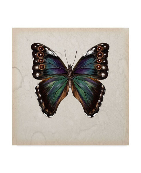 Melissa Wang Butterfly Study III Canvas Art - 27" x 33"