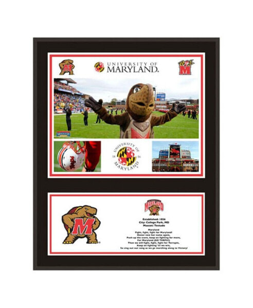 Maryland Terrapins 12'' x 15'' Sublimated Team Plaque