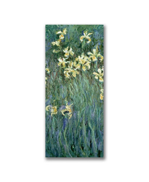 Claude Monet 'The Yellow Irises' Canvas Art - 47" x 20"