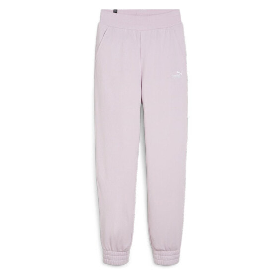 PUMA Ess+ Embroidery Cl sweat pants