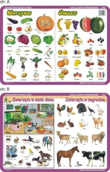 Visual System Podkładka edu. 003 - Warzywa, owoce, zwierzęta