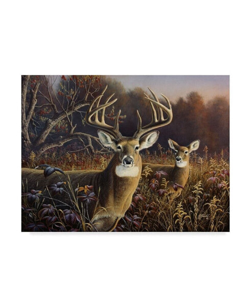 Wilhelm Goebel 'Deer' Canvas Art - 24" x 32"