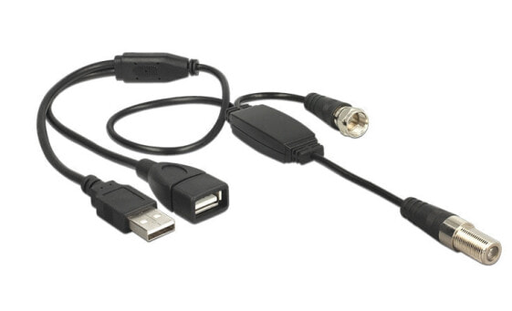 Delock 13006 - 0.22 m - RG-174 - 1 x IEC female - 1 x IEC plug - 1 x USB 2.0 Type-A female - 1 x USB 2.0 Type-A male - Black