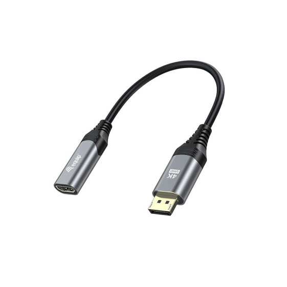 EQUIP 1.2 4K DisplayPort To HDMI Adapter