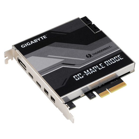 Gigabyte GC-MAPLE RIDGE - PCIe - DisplayPort - Mini DisplayPort - Thunderbolt 4 - USB 3.2 Gen 2 (3.1 Gen 2) - Black - Grey - 40 Gbit/s