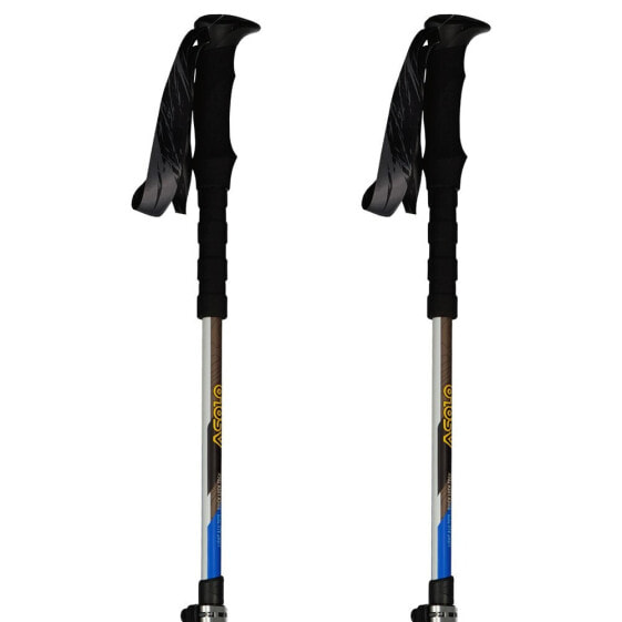 ASOLO Aspe QL DLX Poles