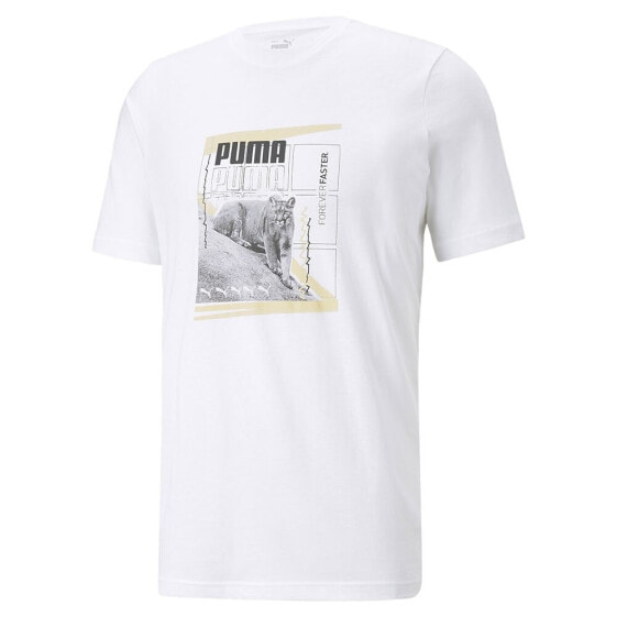 PUMA Art Graphic T-shirt