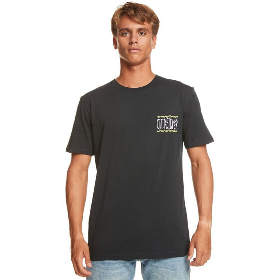 QUIKSILVER Taking Roots Ss short sleeve T-shirt